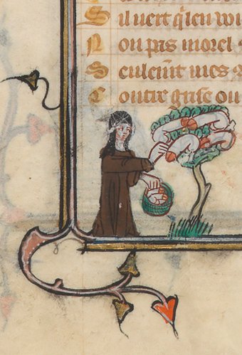Roman de la Rose