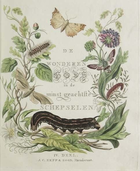 Beschouwing der wonderen Gods, Christiaan en Jan Christiaan Sepp, 1762-1789, Teylers Museum