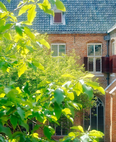 Foto van de kloostertuin van Museum Catharijneconvent met op de voorgroen bladgroen
