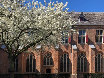 Pandhof in de lente