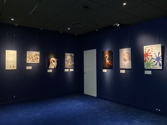 Foto Tentoonstelling Beeldvormen3