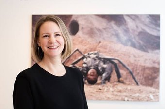 laurie cluitmans